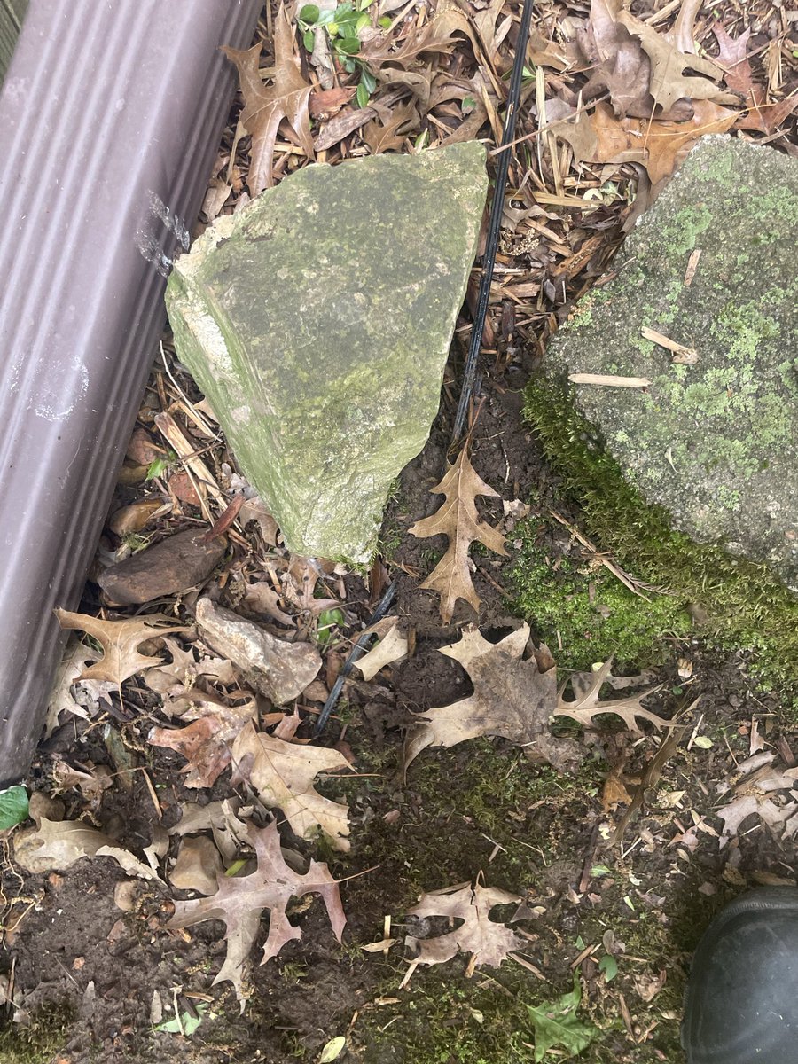 justin bolin tweet media