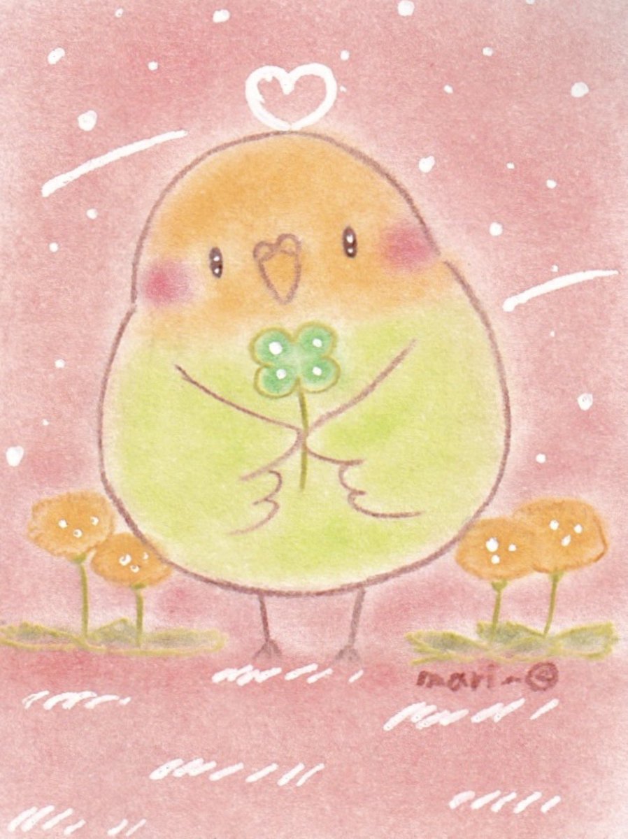 まりものイラスト