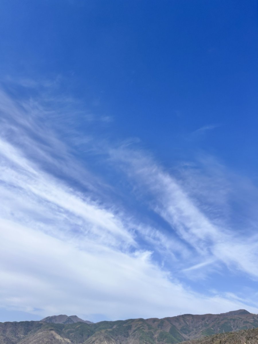 おはようございます。
遅く起きたのでシンプルですが。
幸せで在ろうね。
どうぞ良い日に。