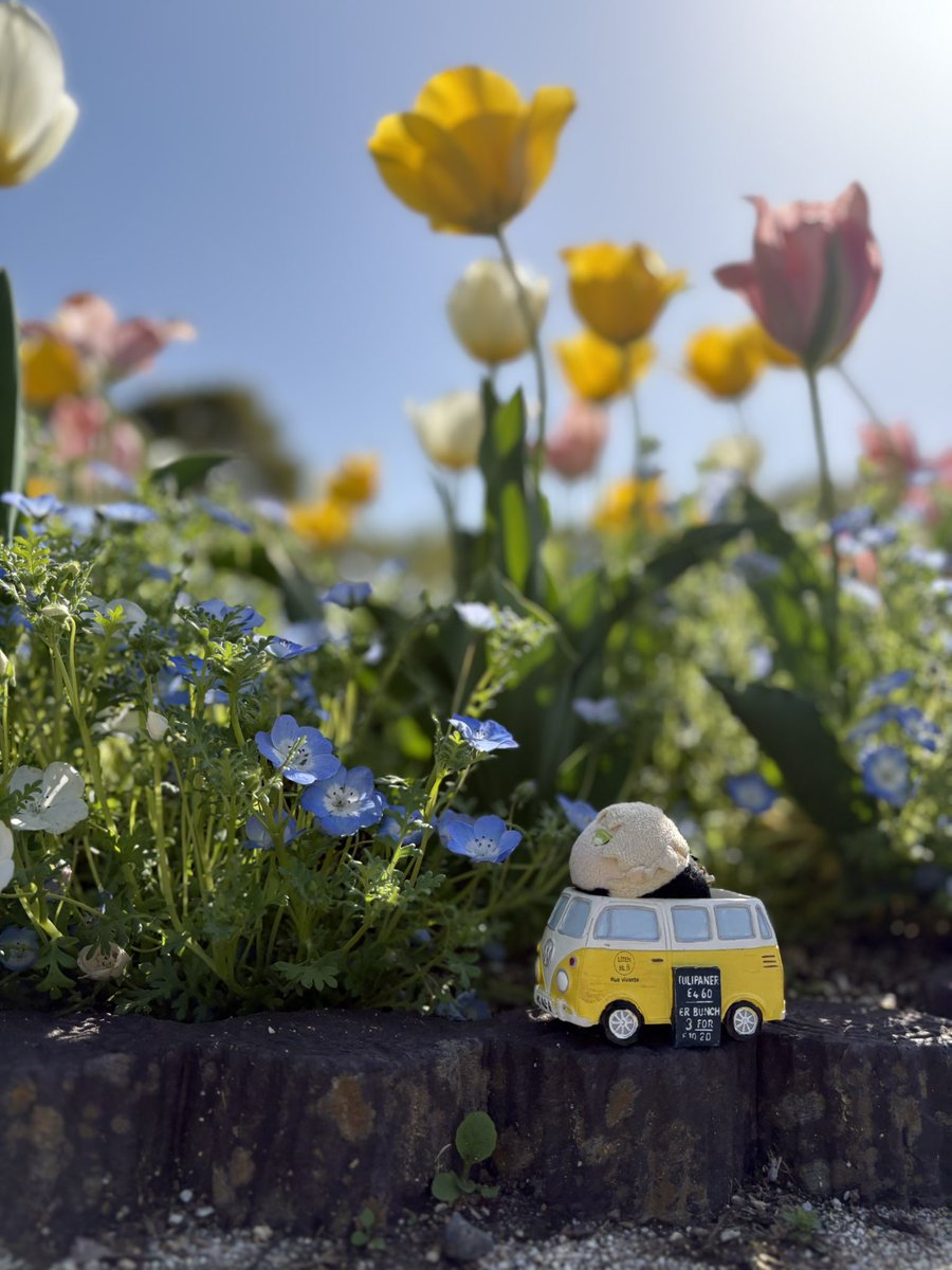 #金曜日だからおもち貼る