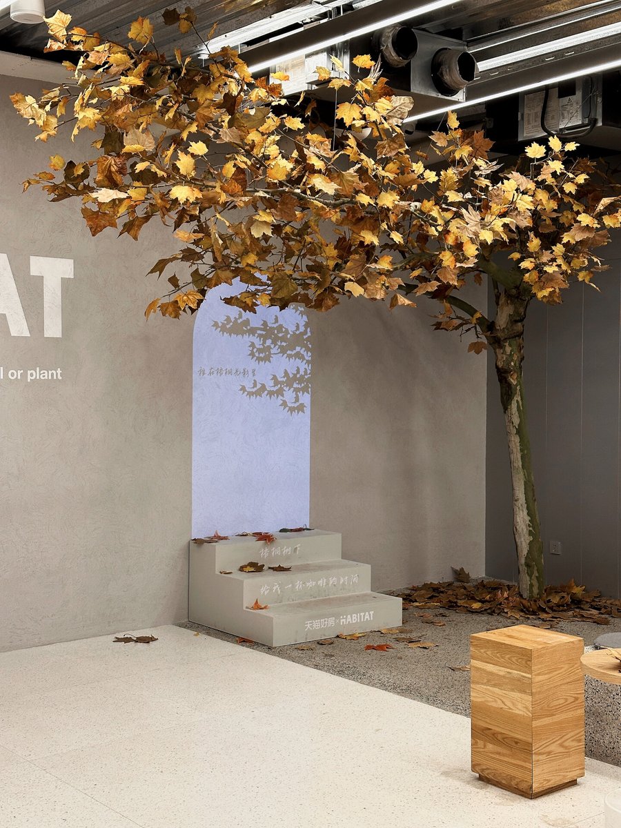 Maite Corrales tweet media