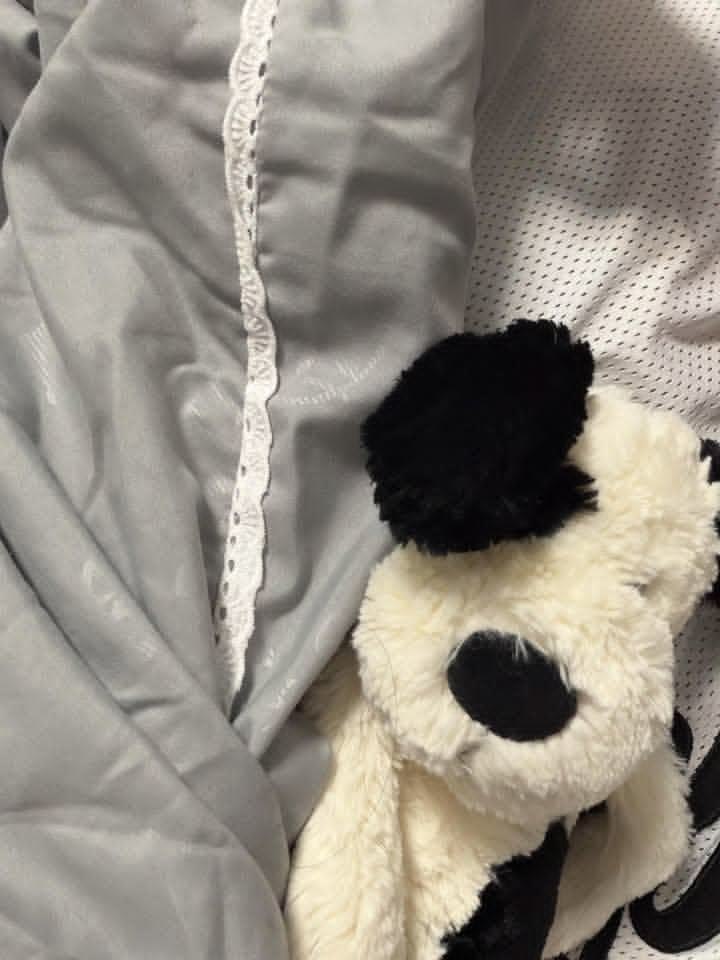 nana 𑄹 tweet media