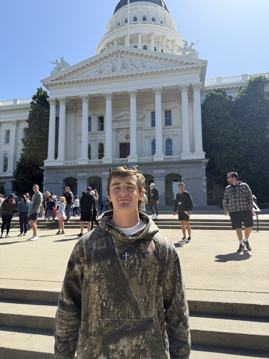 Nick shirley tweet media