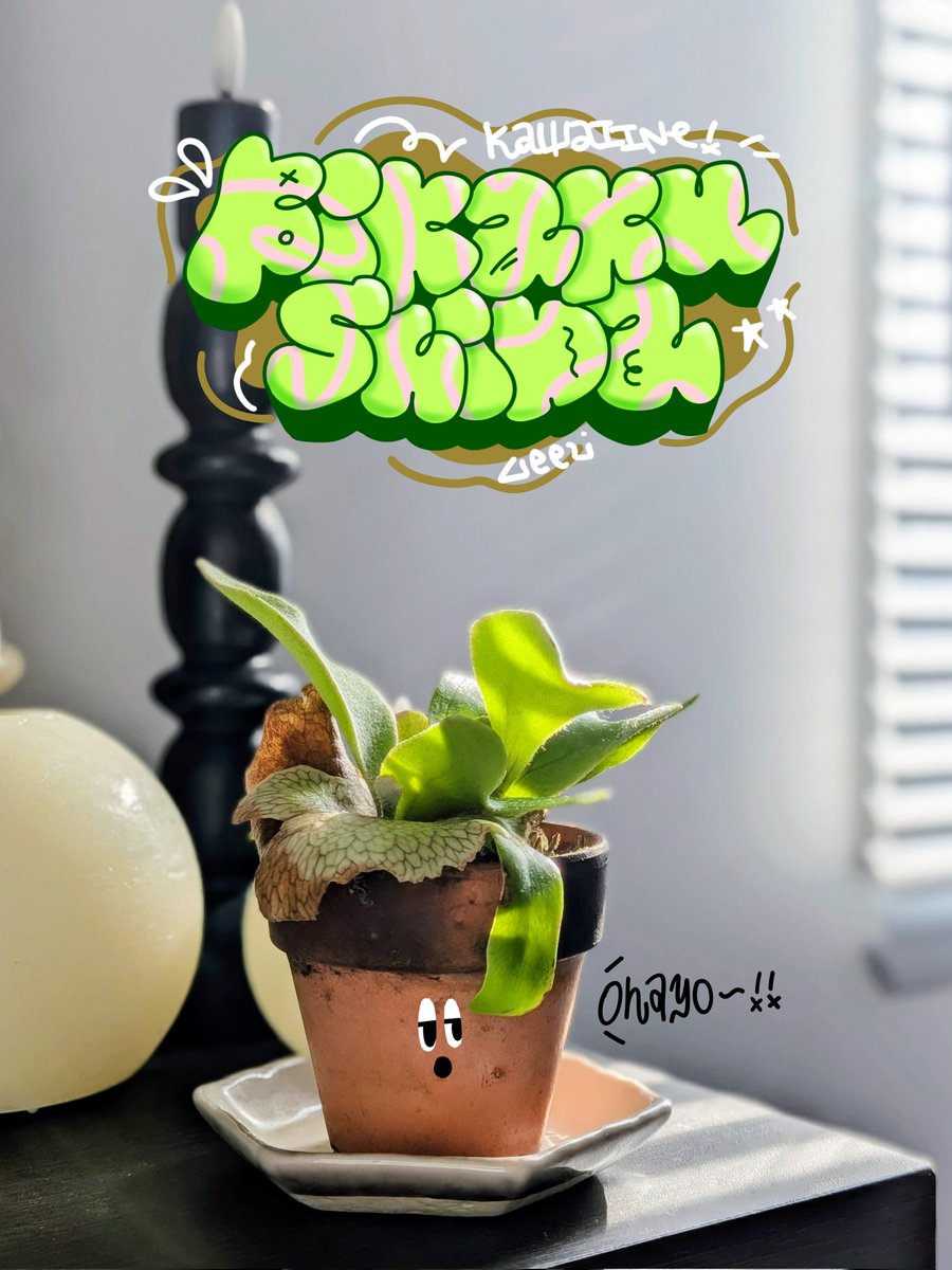 り〜り〜 | VRC×リアル tweet media