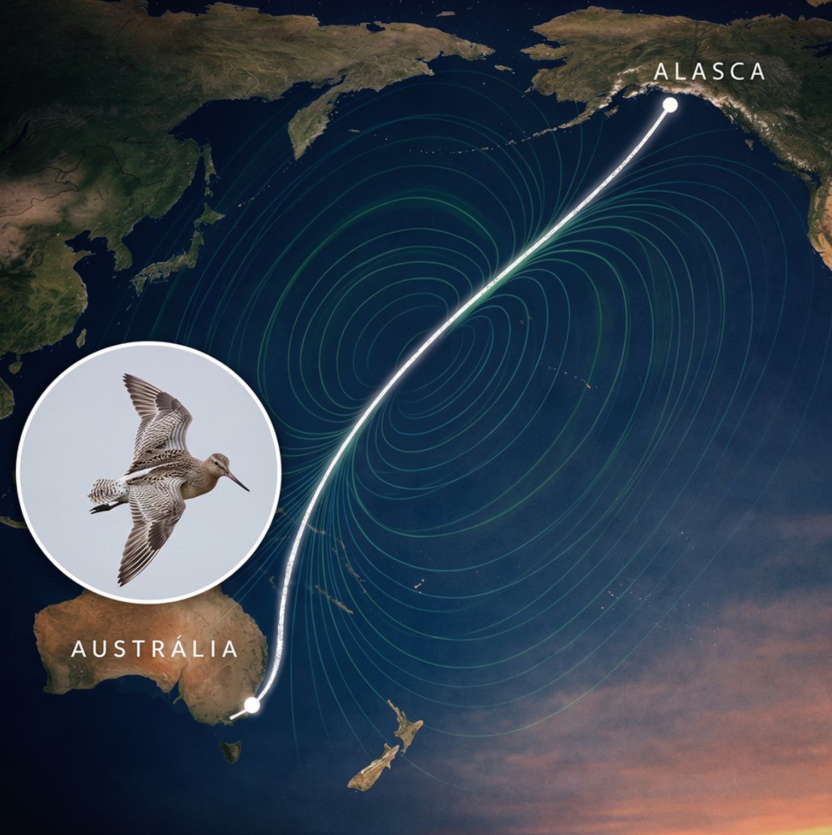 Mistérios do Mundo tweet media