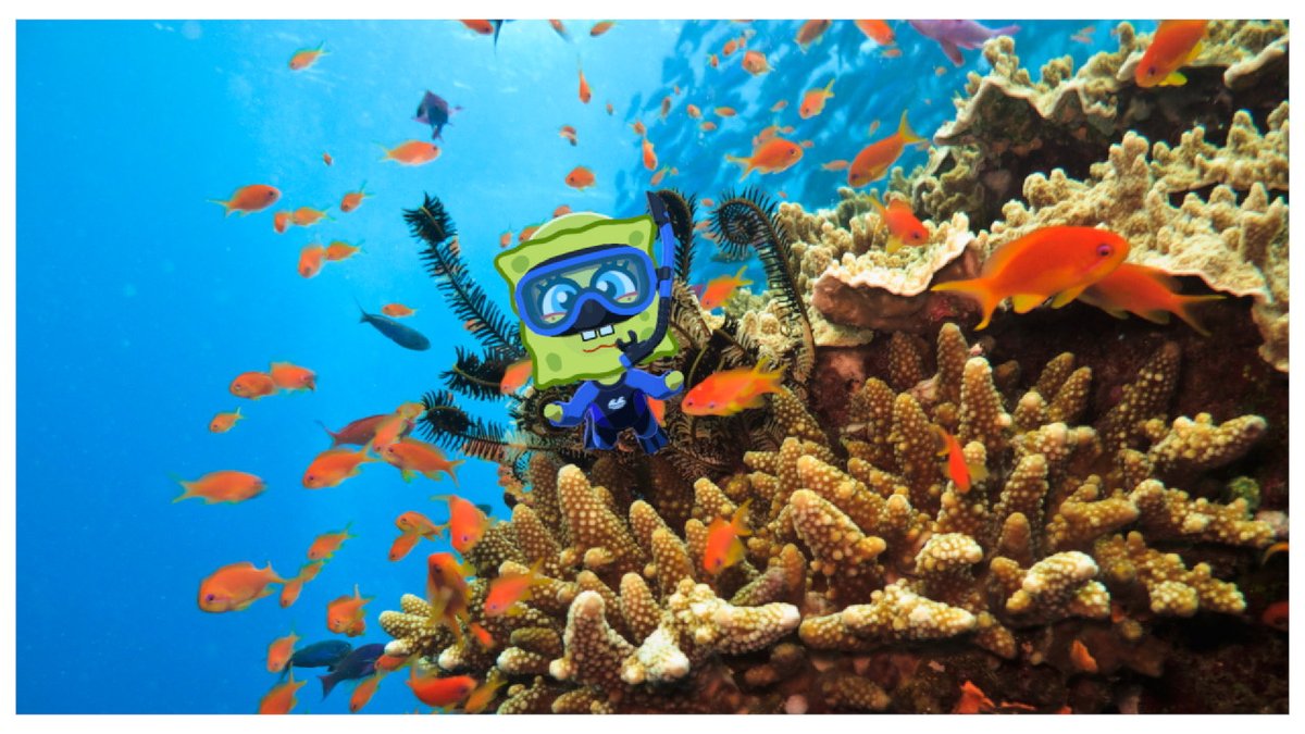 izzy 🫧 tweet media