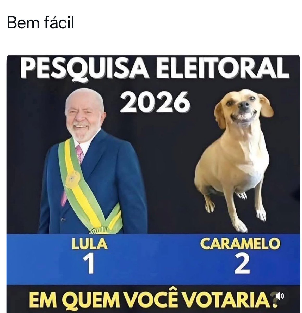 Iza Oliveira tweet media