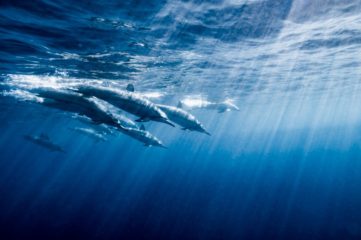 Yusuke Okada｜岡田裕介 tweet media