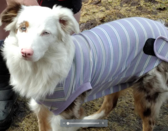 Cindy Kandler tweet media