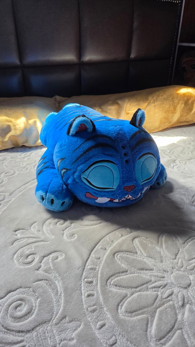 RAY0ZMAY0 tweet media