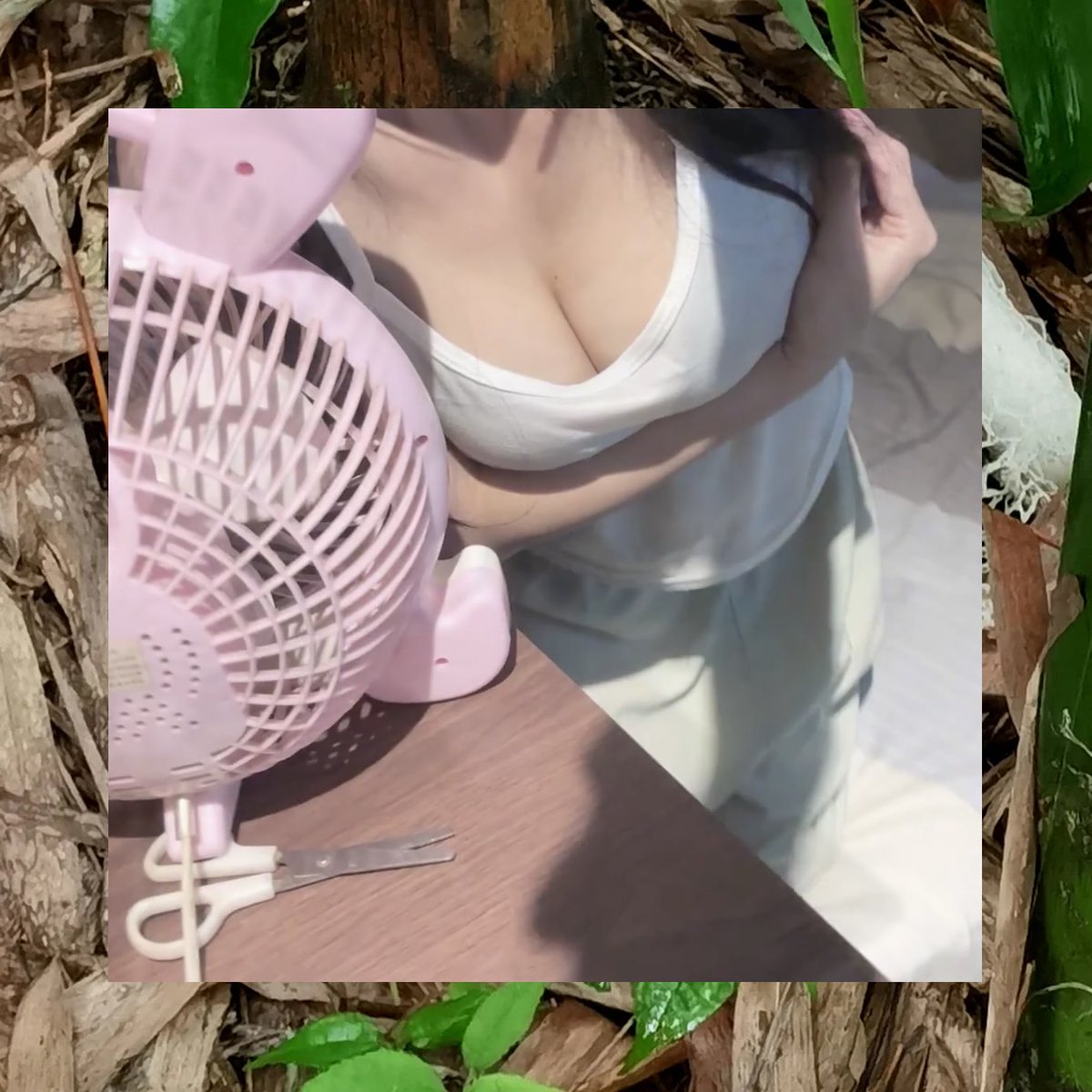 Mike Dinelli tweet media