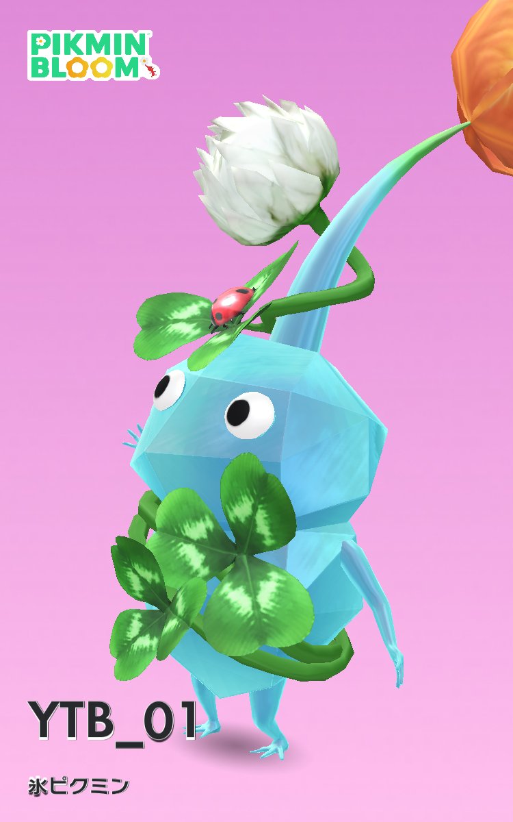 ドミトリー tweet media