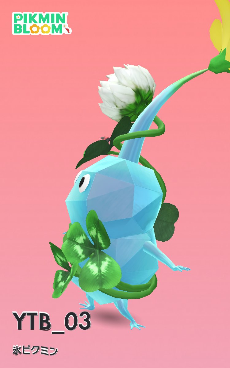 ドミトリー tweet media