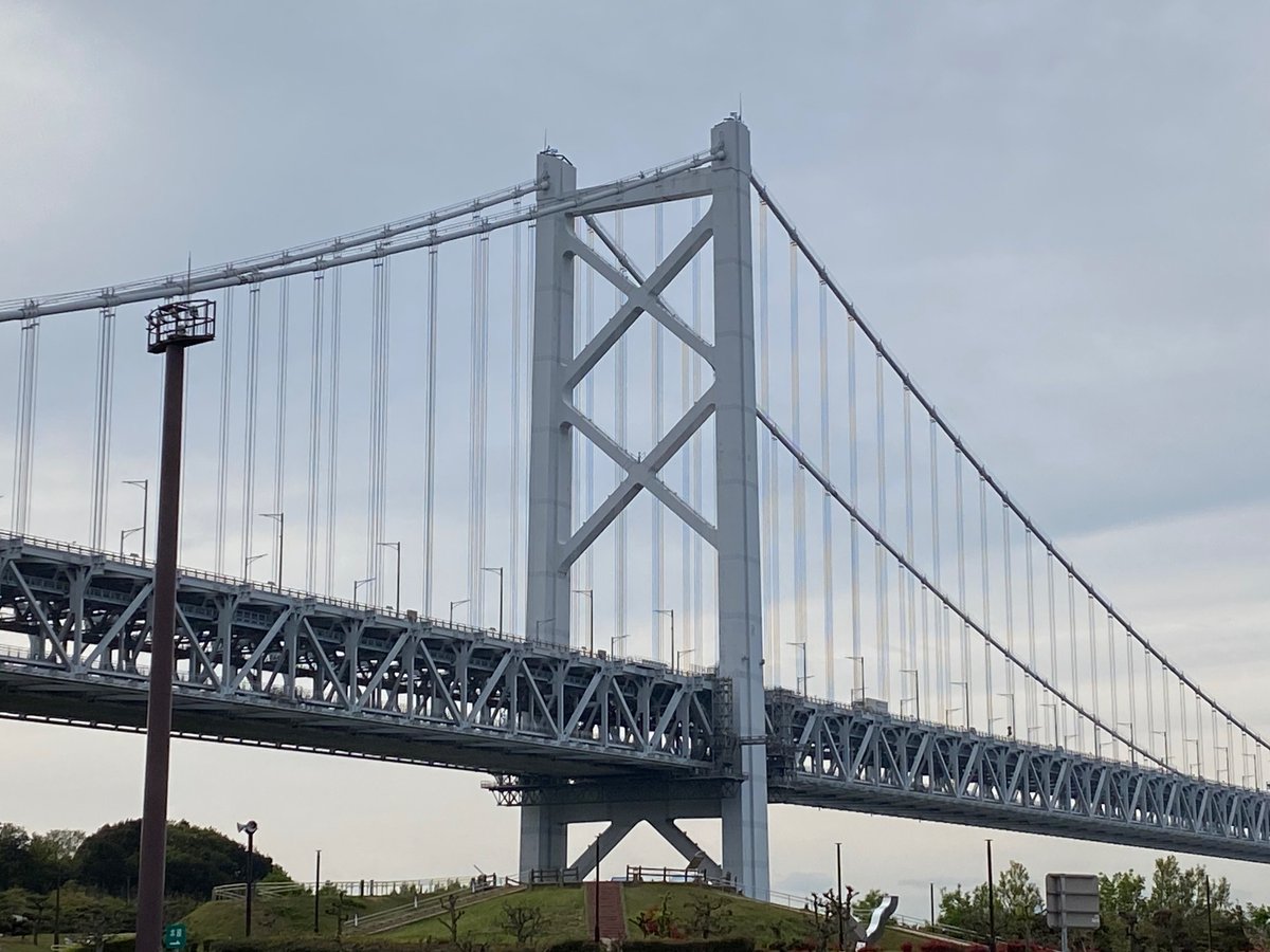 せるひ@陸生まぐろのVtuber🐟 tweet media