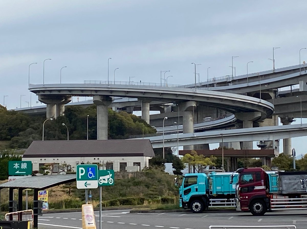 せるひ@陸生まぐろのVtuber🐟 tweet media