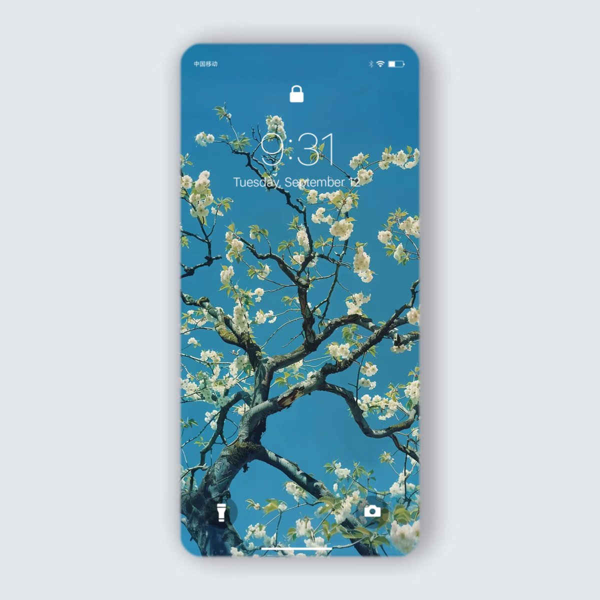 🥀 𝓜𝓭𝓶 𝓐 𝓢 𝓨 🥀 tweet media