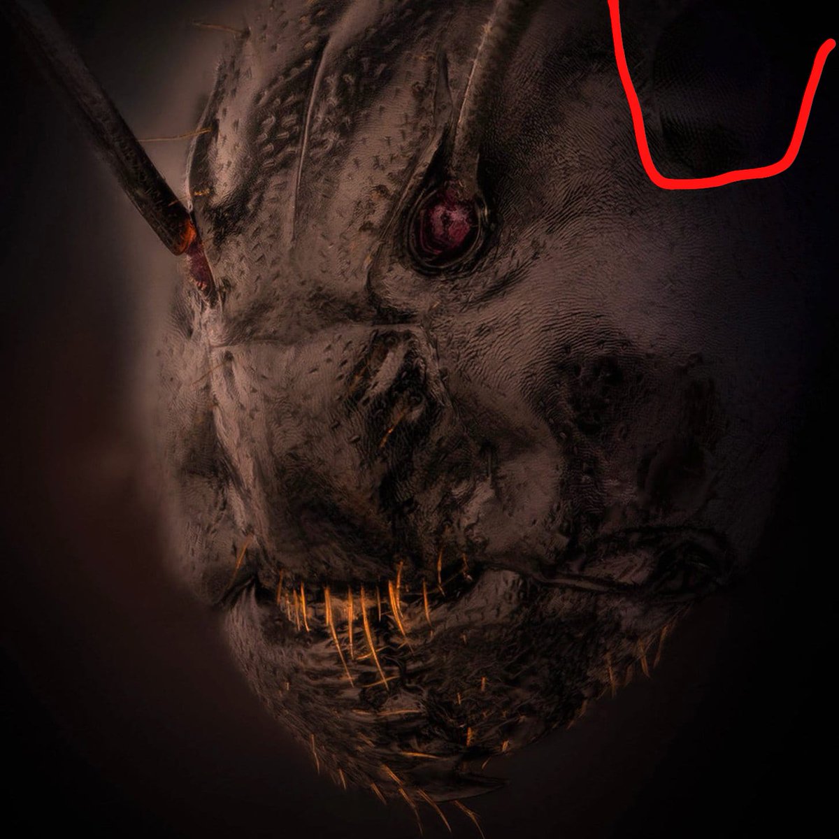 Asmodeus tweet media