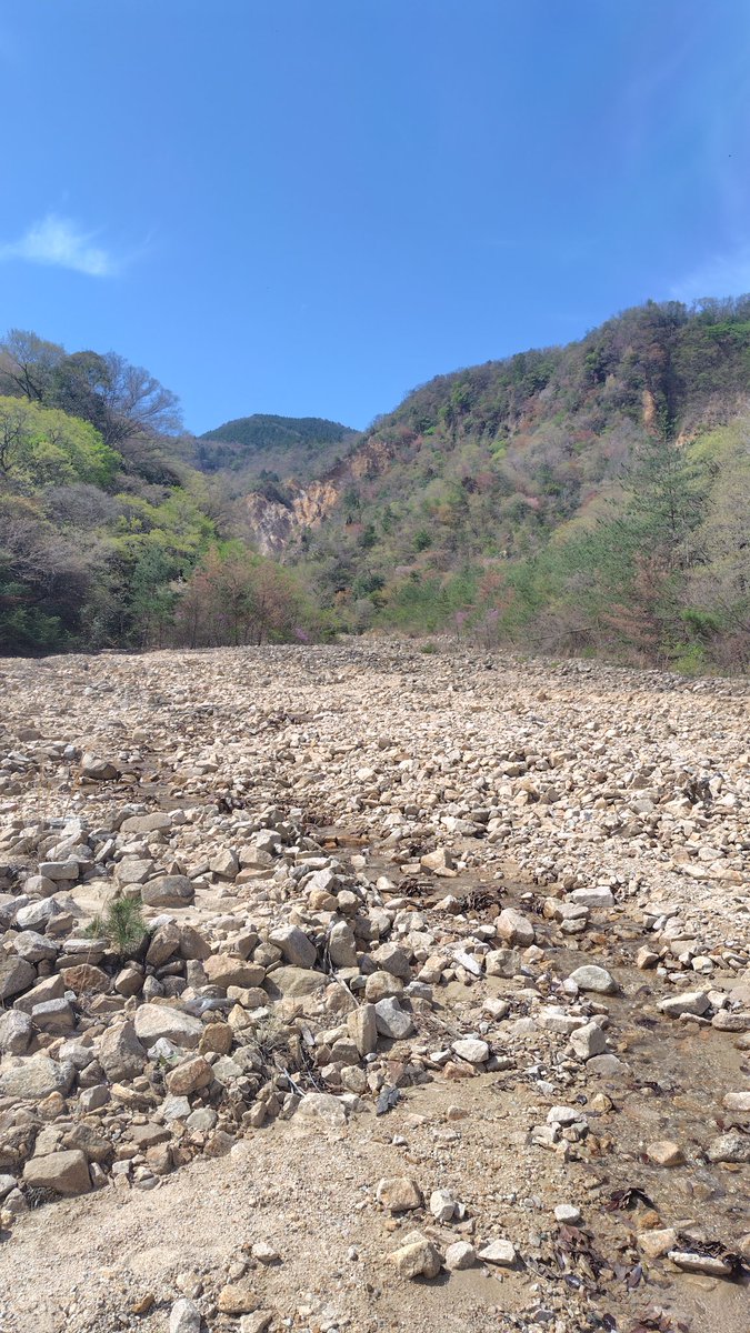 グレエス tweet media