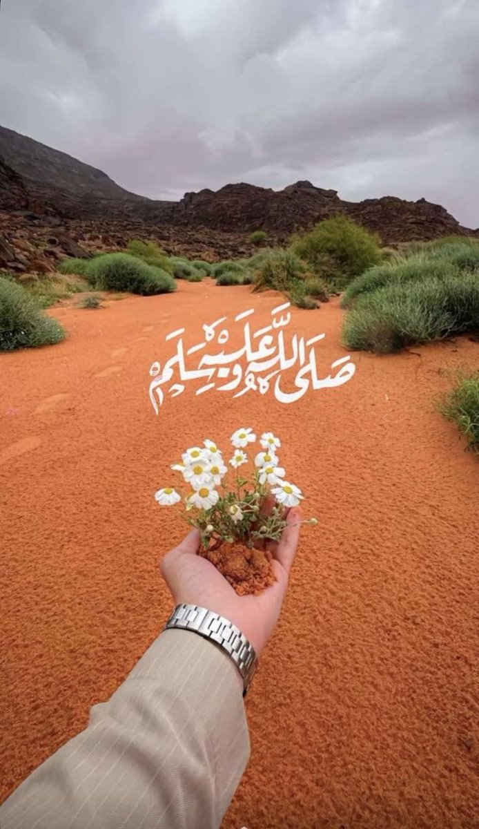 حسناء بنت السالك tweet media