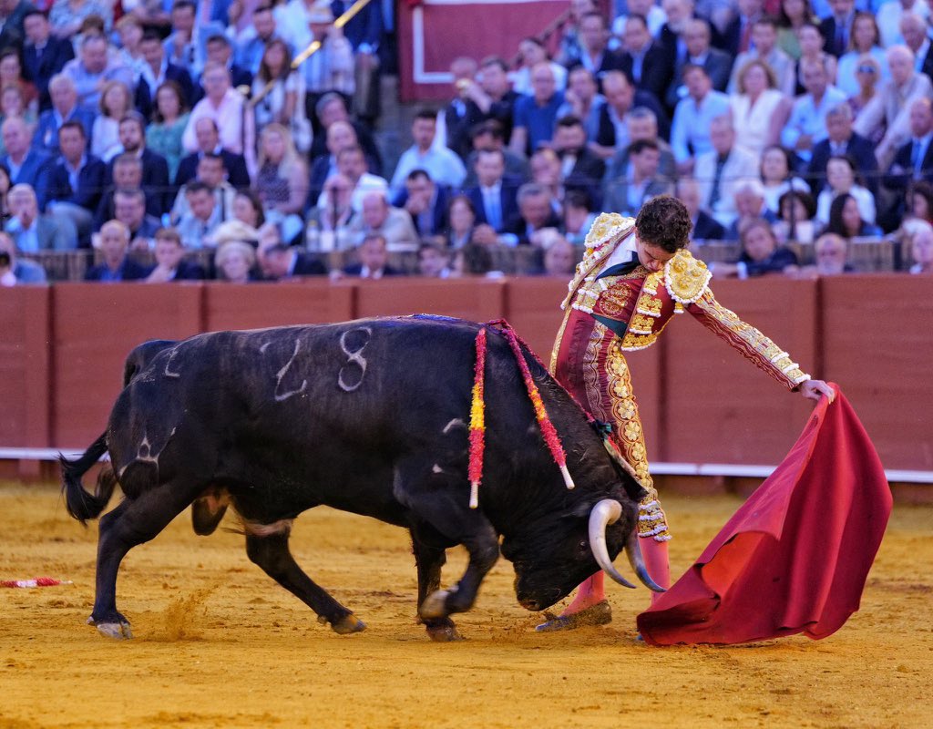 Álvaro Piqueras 🇪🇸 tweet media