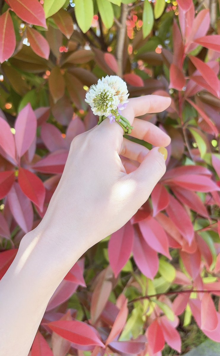 おはようございます🔆

シロツメクサで指輪使っちゃいました💍*。
紫のお花の名前はなんだろ……？
ちょっと添えました🎶