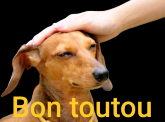 Tête de Brique tweet media