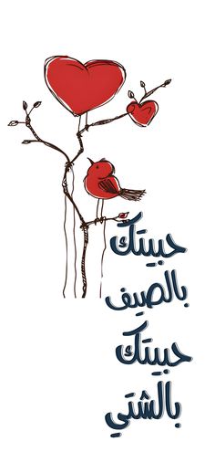 abdullahbn12's tweet photo. https://t.co/cwJ0KGtPO4