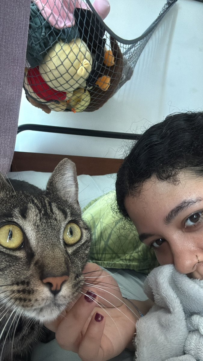 RinnAiko's tweet photo. Omg this is getting traction yall like my dog??? 🐕  well HERES SOME WITH MY CATS🐈‍⬛

Hi fairies in case youre around 👁️👁️ and wish to support a gamer girl in the community 👀

Umm hi im Rinn i have a dog and two cats i work a desk job to maintain my family and also love gaming 

🍀🍀manifestation avengers🍀🍀
@DonnnySins @bankofoshi @ThroneFaerie @kantozard @mareeener
