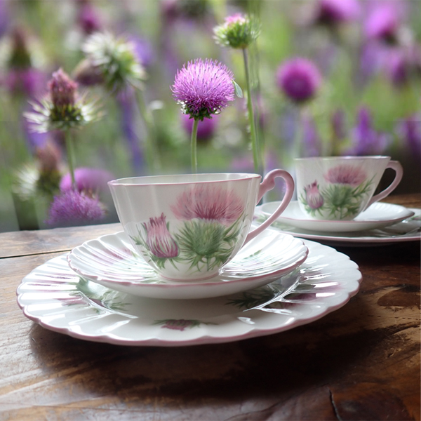 インテリア雑貨のキャリコ tweet media