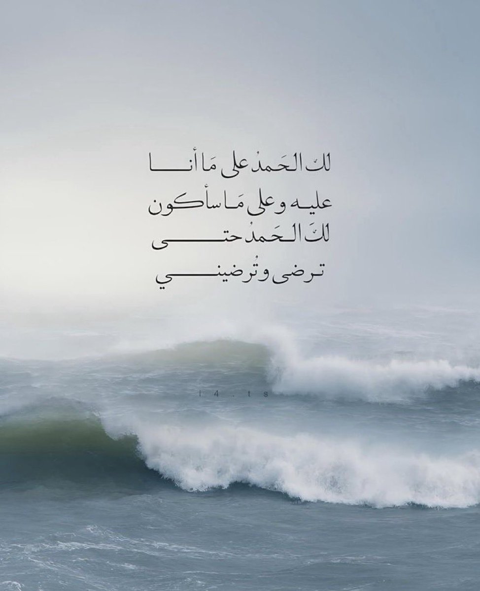 روينا tweet media