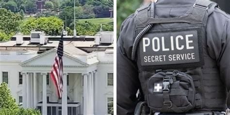 SaltyGoat tweet media