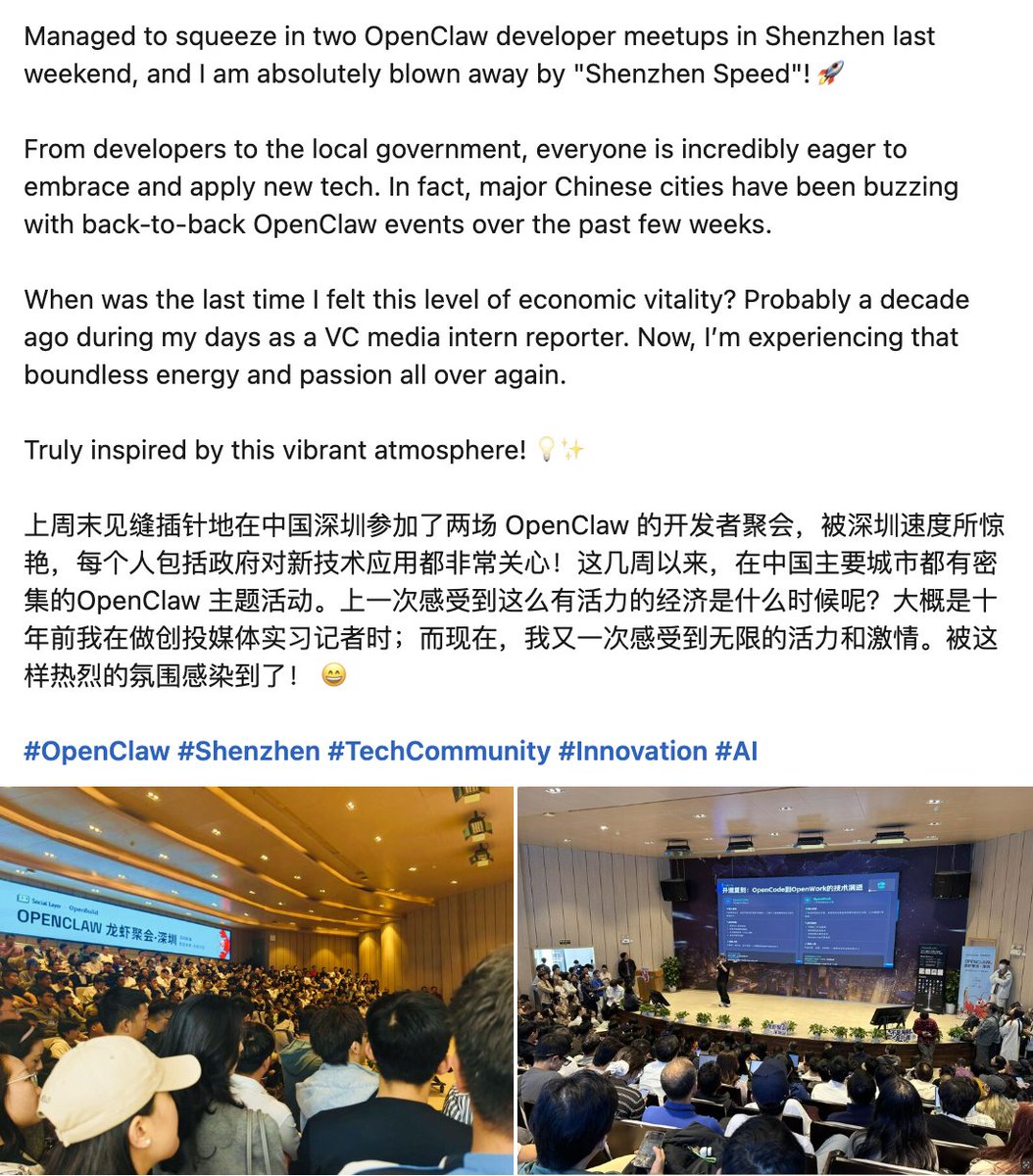 might.and.zhuoyou tweet media