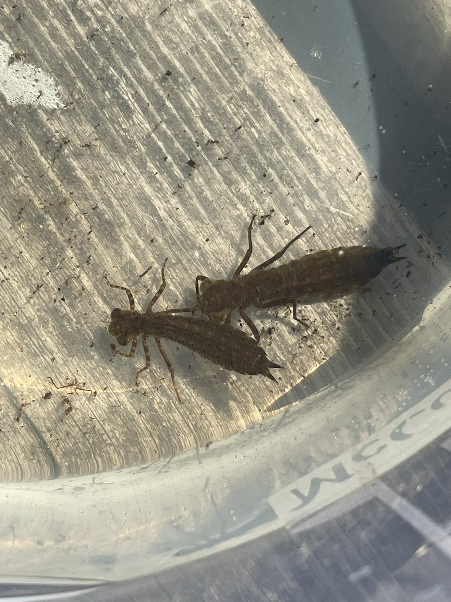 crabboh (@cramboh) on Twitter photo 