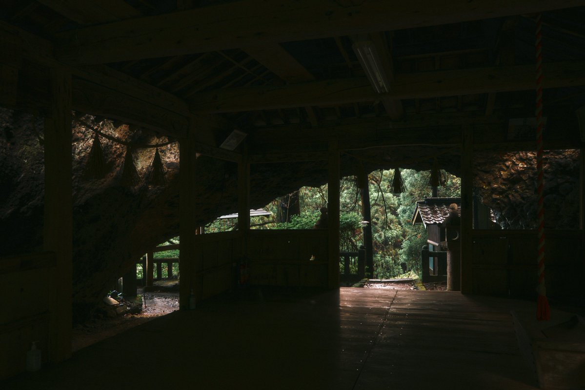 真道 健志 / Shindo Takeshi tweet media