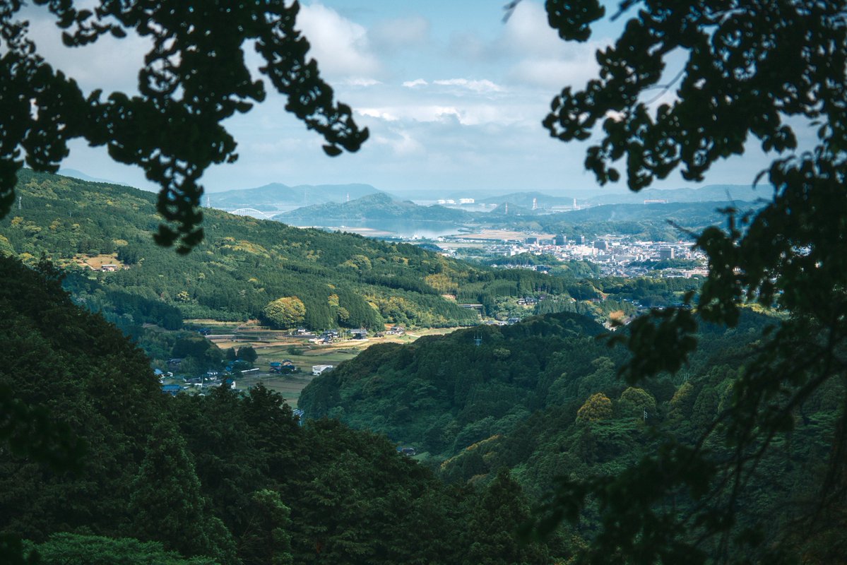 真道 健志 / Shindo Takeshi tweet media