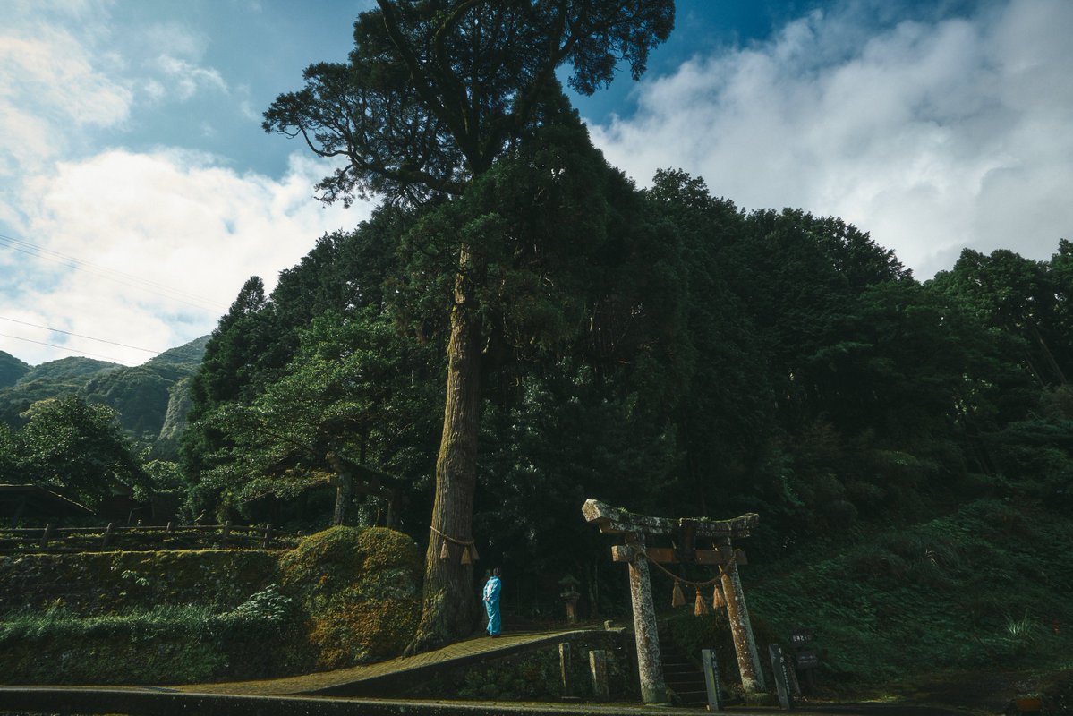 真道 健志 / Shindo Takeshi tweet media