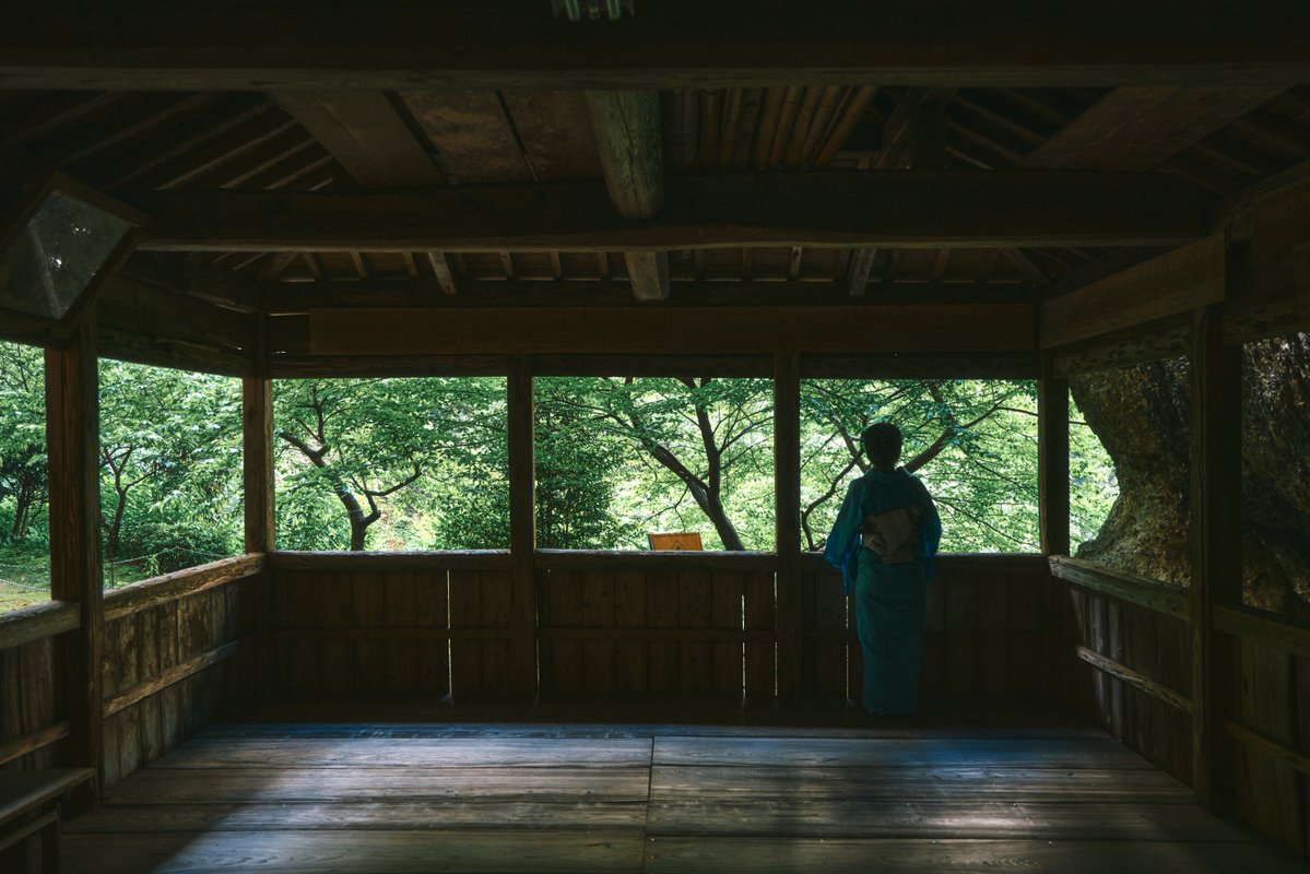 真道 健志 / Shindo Takeshi tweet media