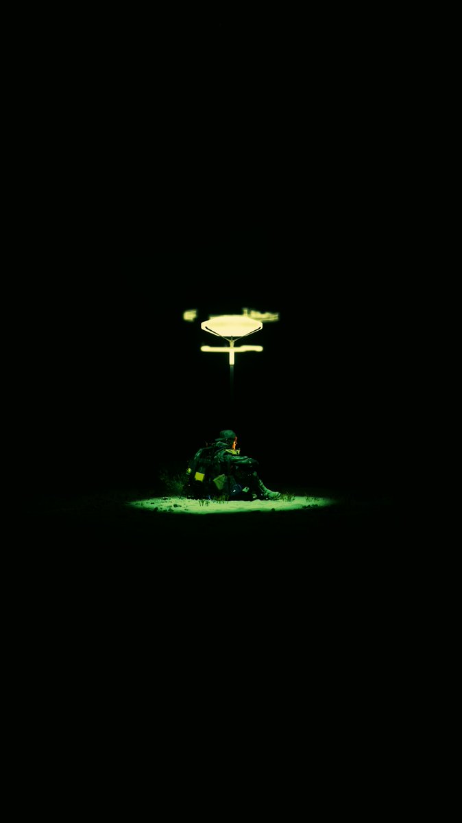 phanodemus tweet media