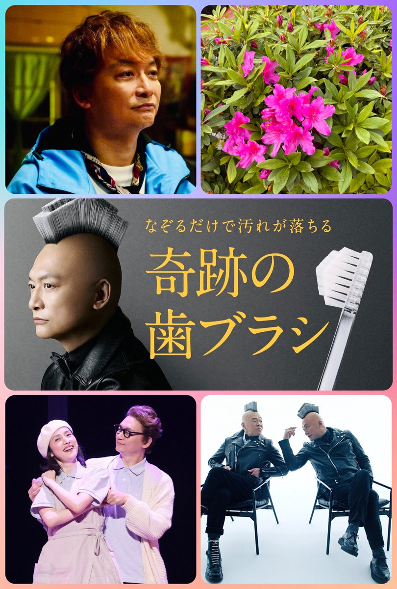 たま🍚💎 tweet media