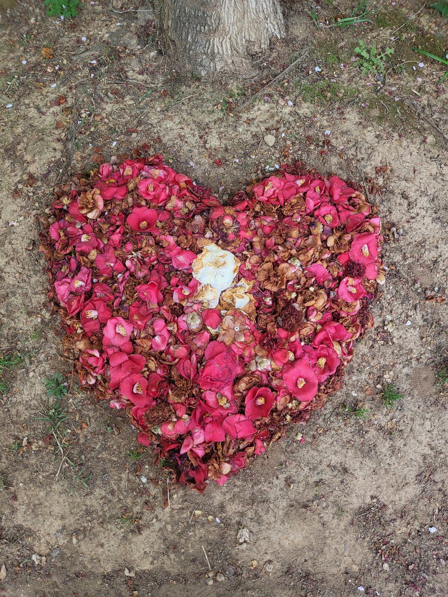 m00nny613's tweet image. 작년 이맘때쯤 만났던 동백하트를 올해도 어김없이 마주 했다💜
넘 반가워서 한참동안 바라봤다🌺

#함께_스밍해요_아미 
#AlwaysWithBTS