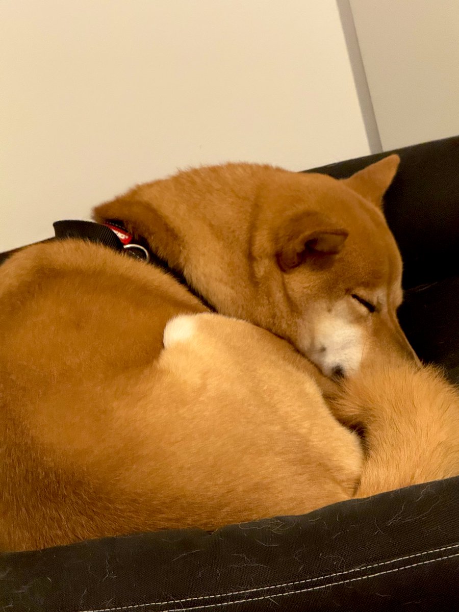 Jaewon | 제원 🦊📿 tweet media