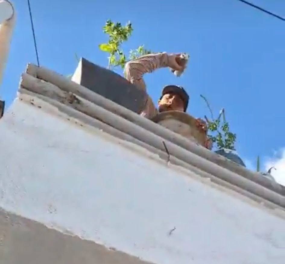 Vigia Ciudadano tweet media