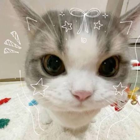 ⋆. 𐙚˚࿔ ᒍᒪ 𝜗𝜚˚⋆ tweet media