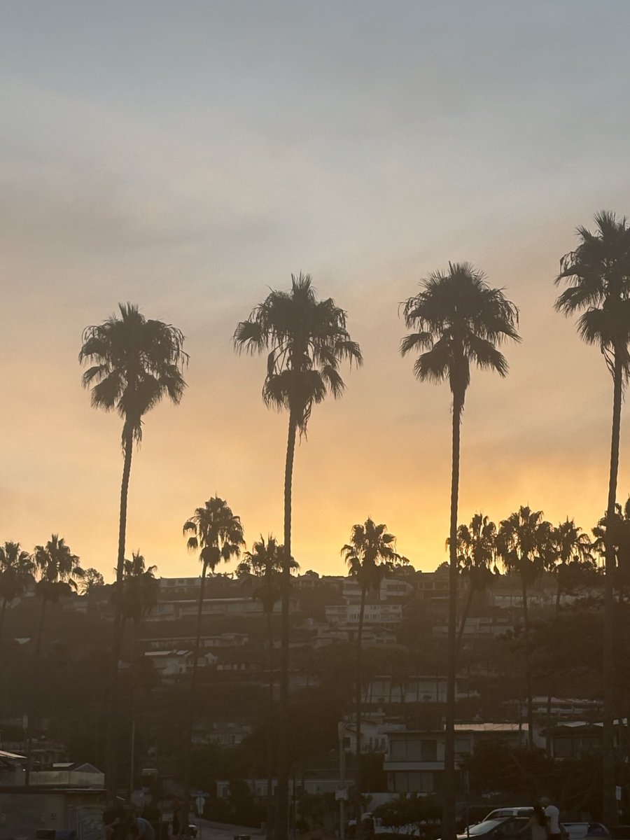 ⋆. 𐙚˚࿔ ᒍᒪ 𝜗𝜚˚⋆ tweet media