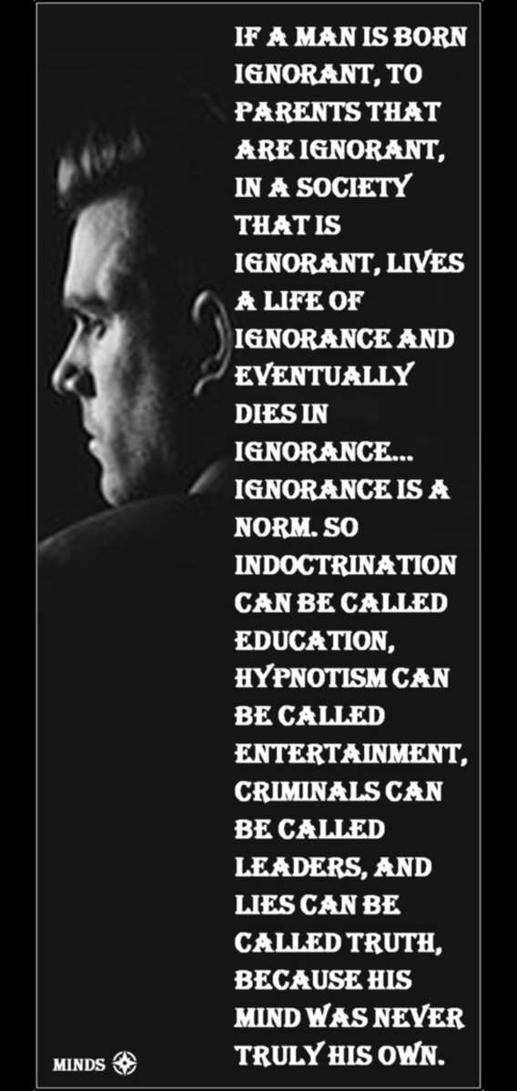 Rufus the Stunt Bum tweet media