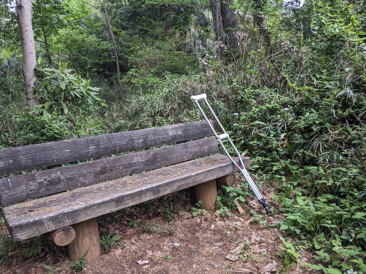 へるにあおにいさん tweet media