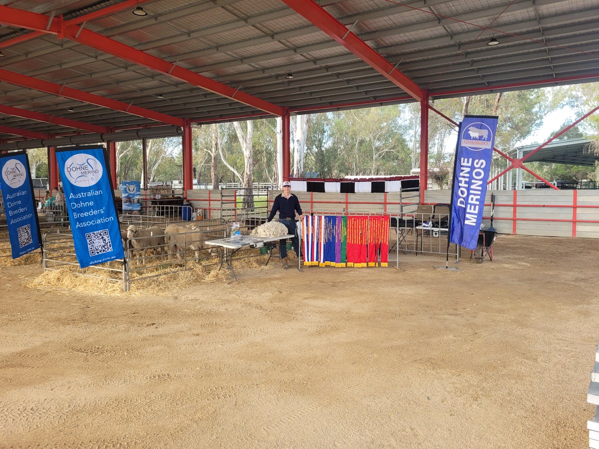Dohne Australia tweet media