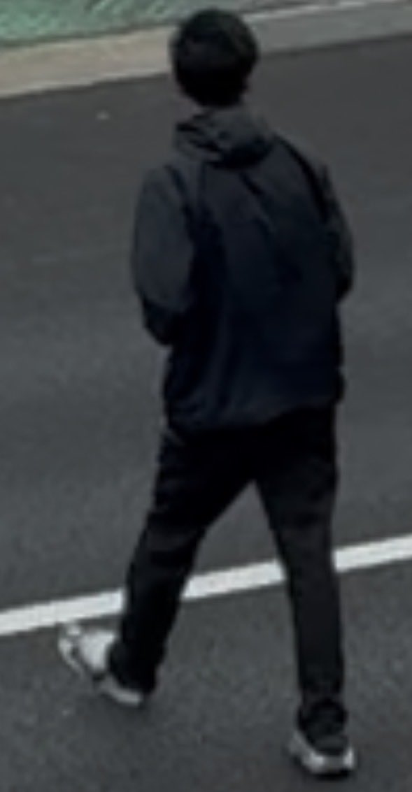 熊本の自然を守りたい人 tweet media