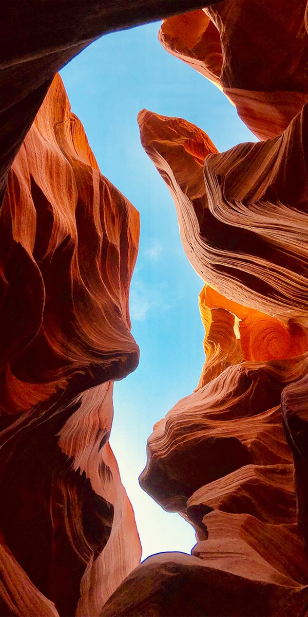 JeanJacquesPierre tweet media