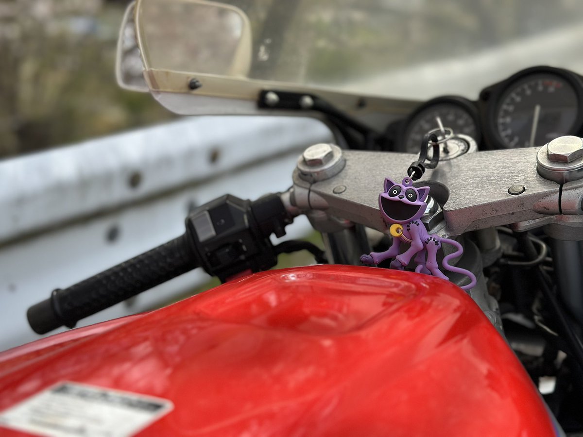 CAPTAIN【筋トレ💪】 tweet media